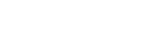 INSIGHT